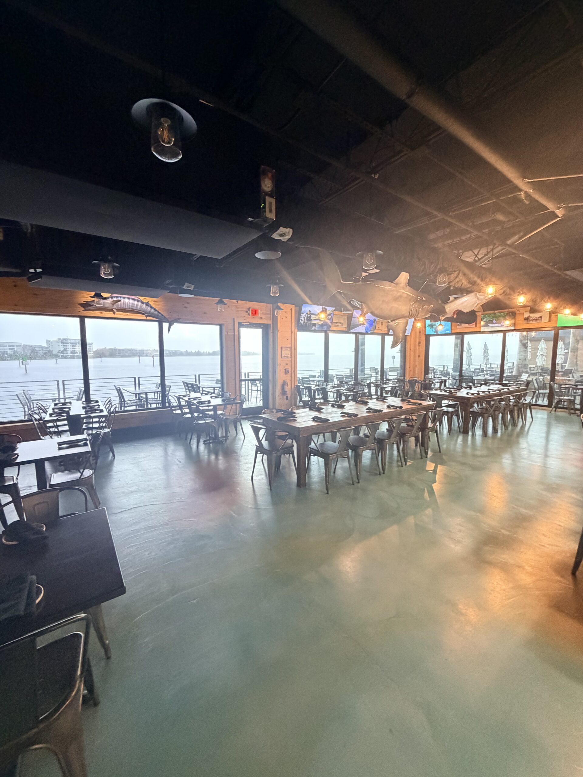 Leroy's Fish Shack dining room, with mounted shark and tarpon overhead and harbor views through the windows